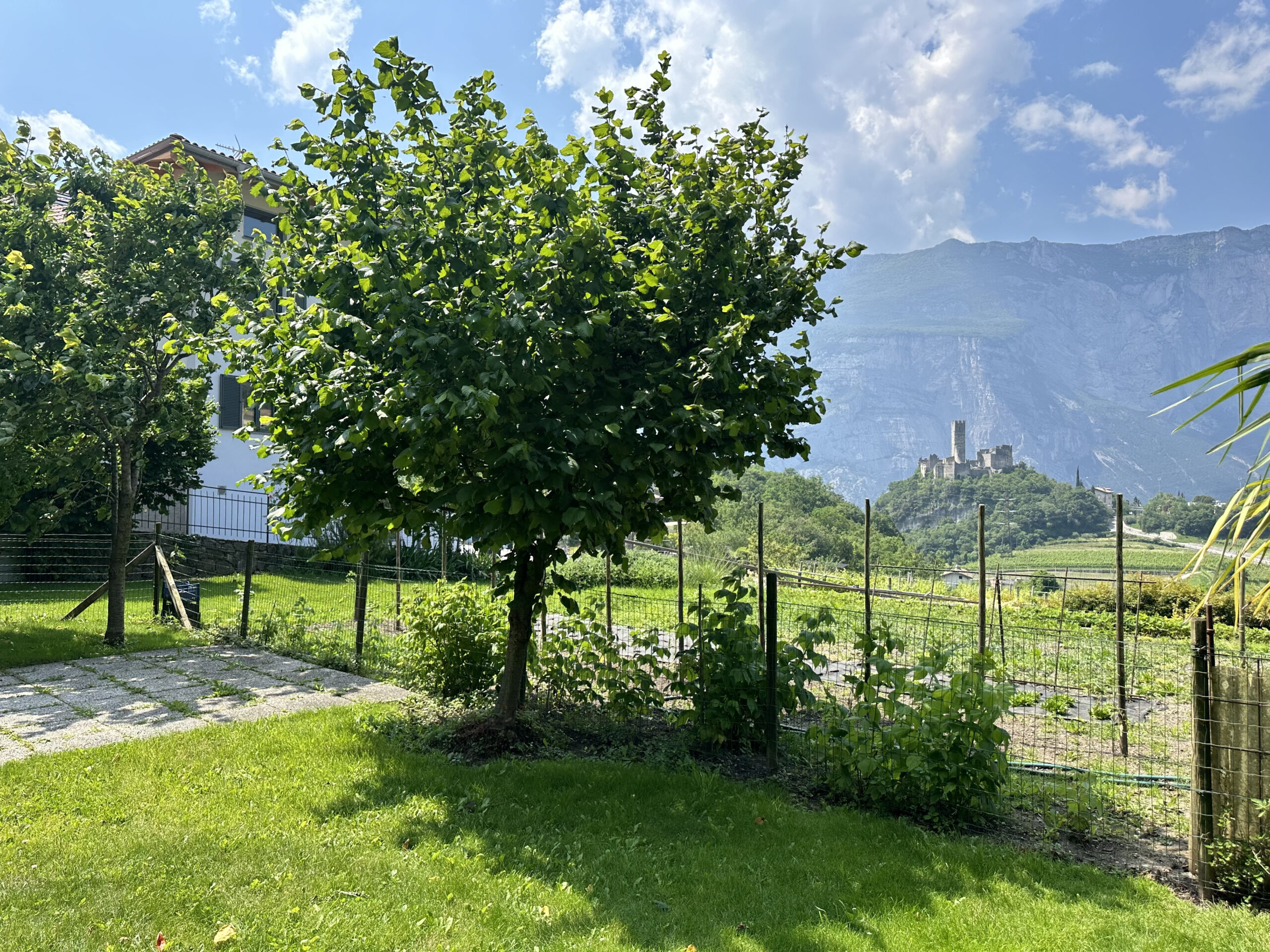 Porzione di casa immersa nel verde di Drena 